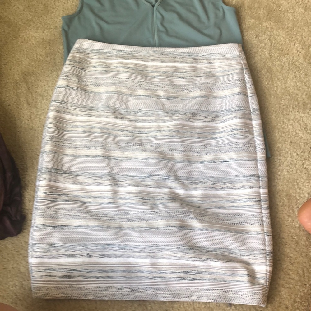 Super cute winter color Ann Taylor business skirt